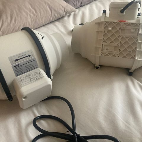 Ice Cream Cake feminised  growlog photo: These two one is for this tent and the other one is for a wooden built box tent diy almost finished thanks seedsman and the best grow for everything so far 