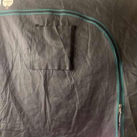Ice Cream Cake feminised  growlog photo: These two one is for this tent and the other one is for a wooden built box tent diy almost finished thanks seedsman and the best grow for everything so far 