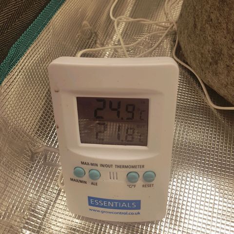 Apple Fritter Automatic growlog timeline photo