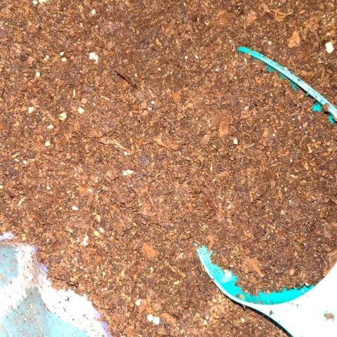 W.L.G. y EMA WEED growlog photo: Transplante
Tierra preparada 