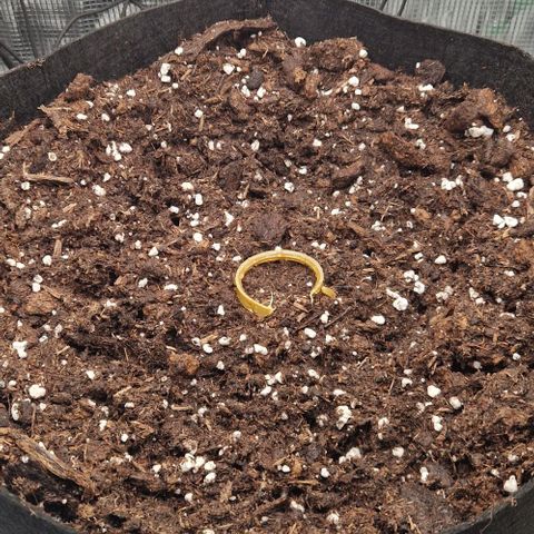 Epsilon growlog timeline photo