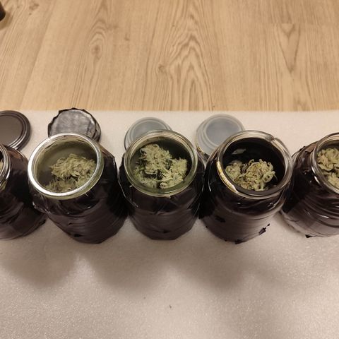 SUPER LEMON HAZE auto growlog photo: 90g