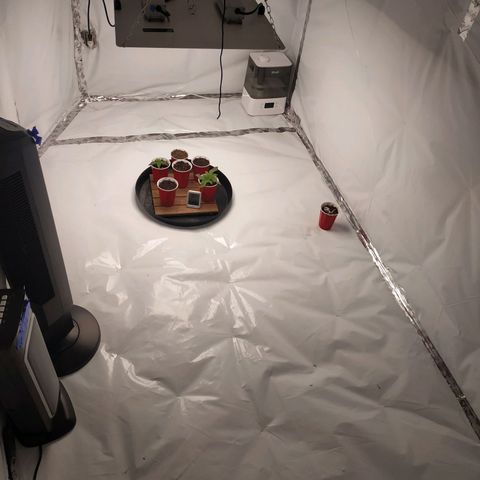 Unknown strain growlog timeline photo