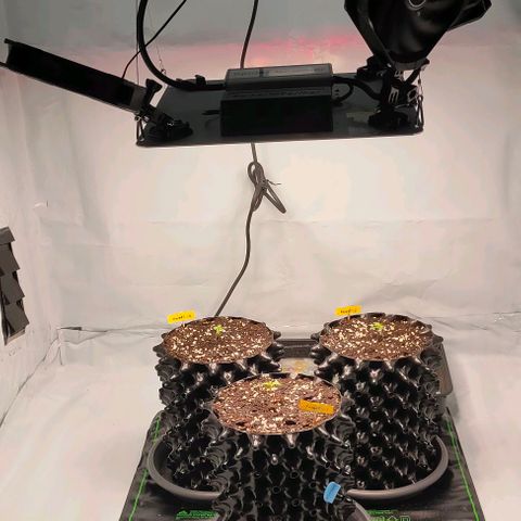 Kaya 47 #1 growlog photo: Heizmatte & Keramikheizlüfter installiert