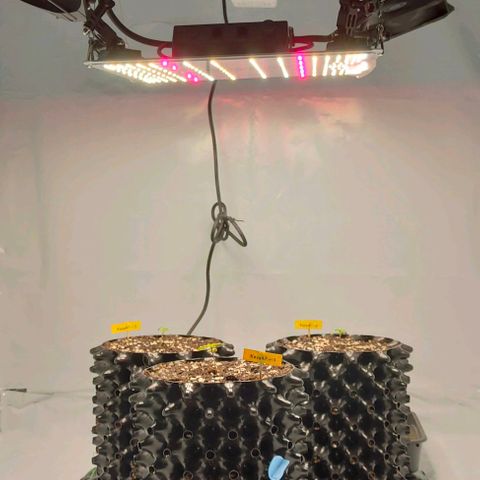 Kaya 47 #1 growlog photo: Heizmatte & Keramikheizlüfter installiert