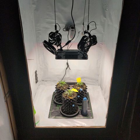 Kaya 47 #1 growlog photo: Überblick