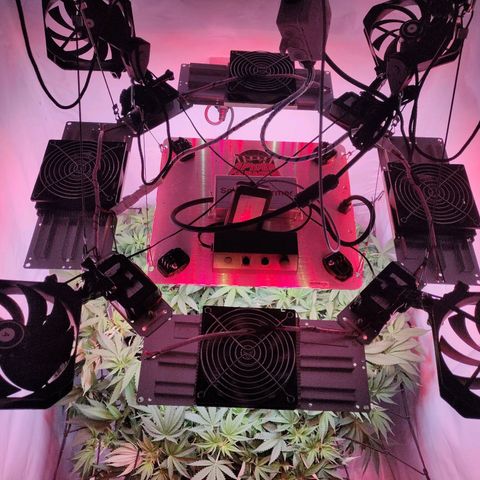 Kaya 47 #1 growlog timeline photo