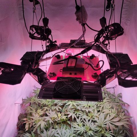 Kaya 47 #1 growlog timeline photo