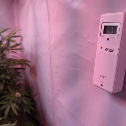 Kaya 47 #1 growlog timeline photo