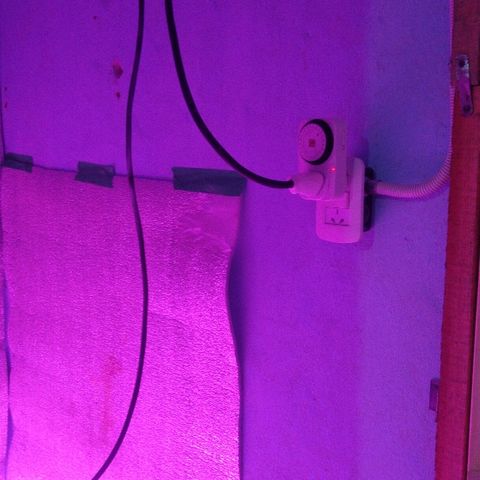 London cheese growlog timeline photo