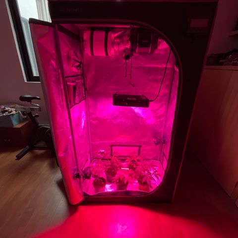 Cookie growlog timeline photo