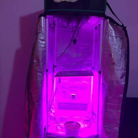 Slurri-Lato growlog timeline photo