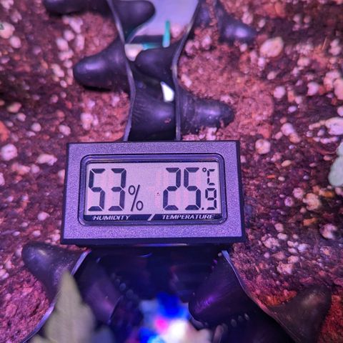 Sweet ZZ growlog timeline photo