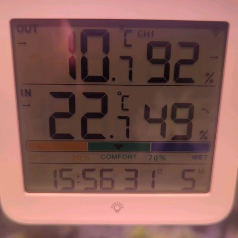 Sweet ZZ growlog timeline photo