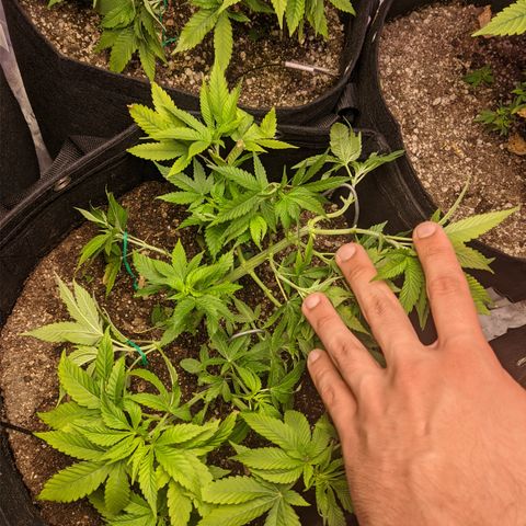 Moby-D growlog timeline photo