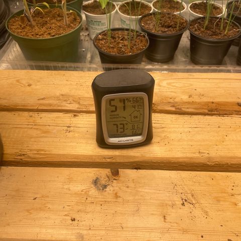 Super OG kush growlog timeline photo