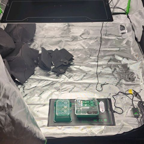 Alien Candy growlog timeline photo