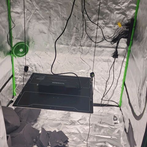 Alien Candy growlog timeline photo