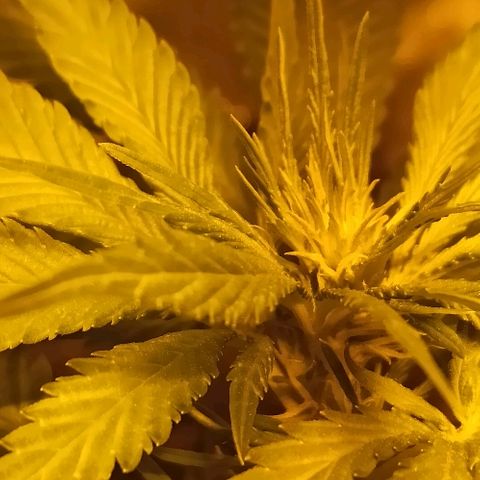 Rosbita growlog timeline photo