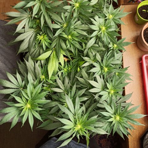 Rosbita growlog timeline photo