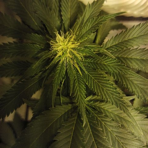 Rosbita growlog timeline photo