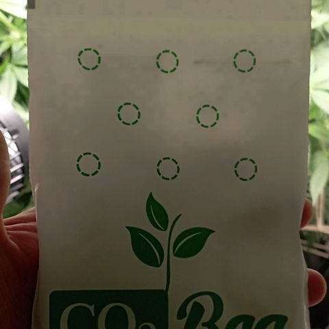 Crystal Candy  growlog timeline photo