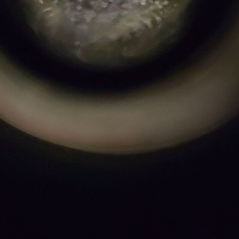Crystal Candy  growlog photo: Terminando de madurar