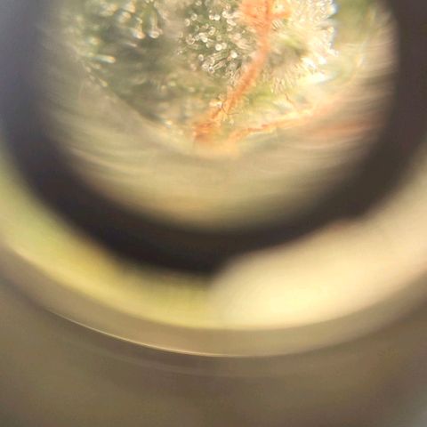 Crystal Candy  growlog timeline photo
