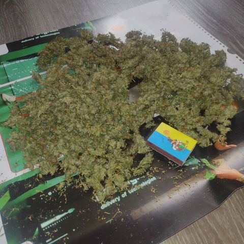 White Berry  growlog timeline photo