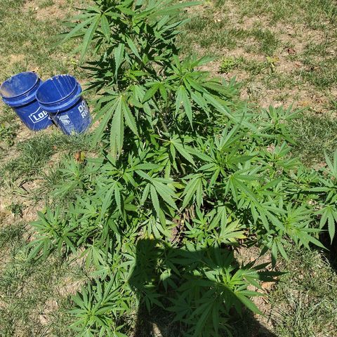 Unknown  growlog timeline photo