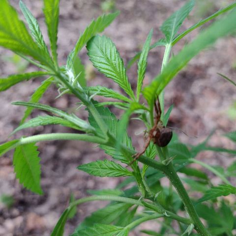 Unknown  growlog timeline photo