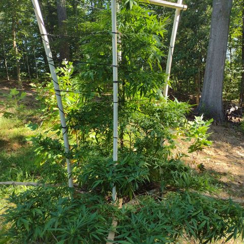 Unknown  growlog timeline photo