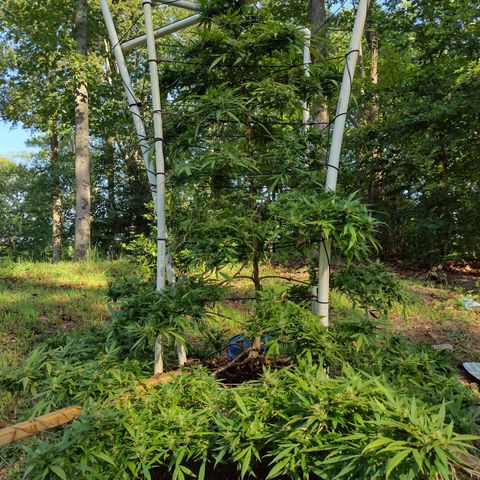Unknown  growlog timeline photo