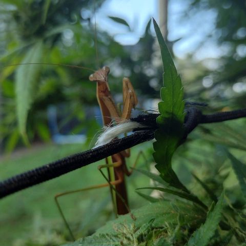Unknown  growlog timeline photo