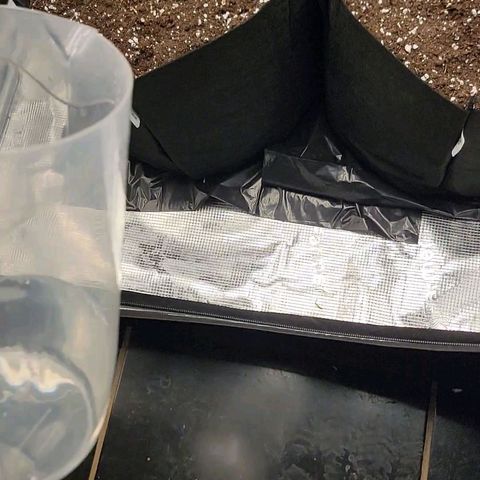 Ice 'n' Baked  growlog timeline photo