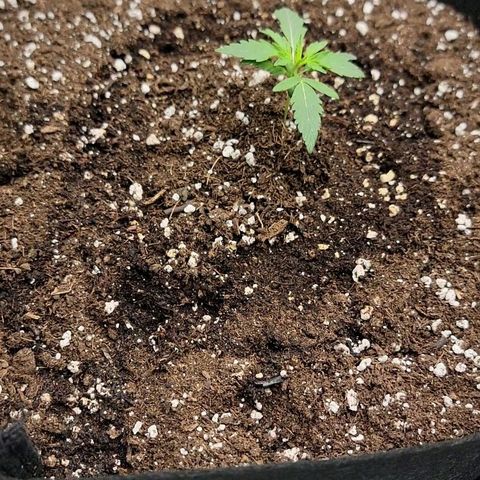 Ice 'n' Baked  growlog timeline photo