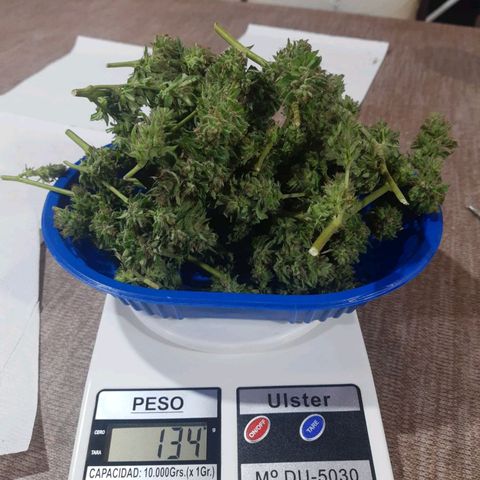 Tiwaz growlog timeline photo