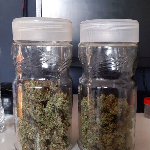 Tiwaz growlog timeline photo