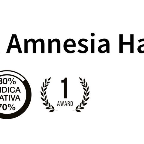 Amnesia Haze A growlog timeline photo
