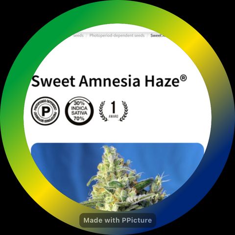 Amnesia Haze A growlog timeline photo
