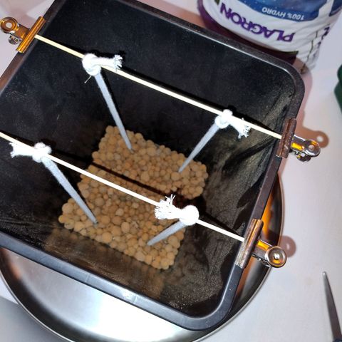 Royal Highness growlog photo: in den endtopf 12 liter eingepflanzt. 
4 dochte, 6mm Baumwolle verlegt. 
drainage 2cm tonkugeln