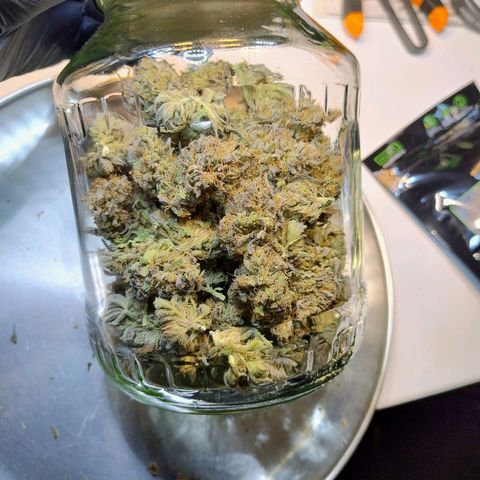 Royal Highness growlog timeline photo