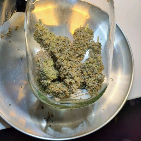 Royal Highness growlog timeline photo