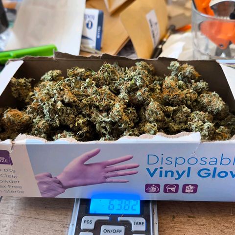 Magus Trio growlog photo: 114 gram 