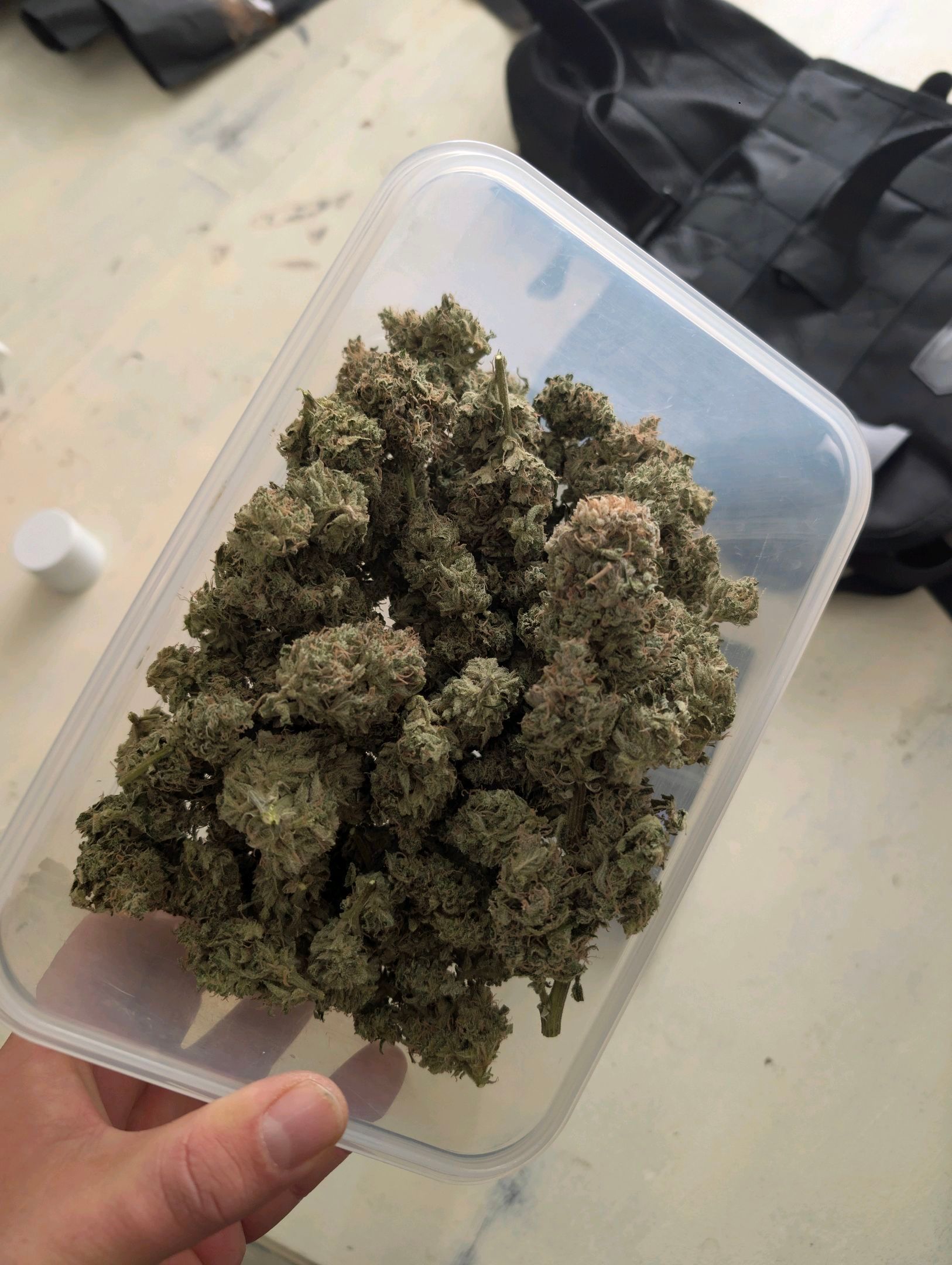 Gorilla Cookies Auto growlog photo 126