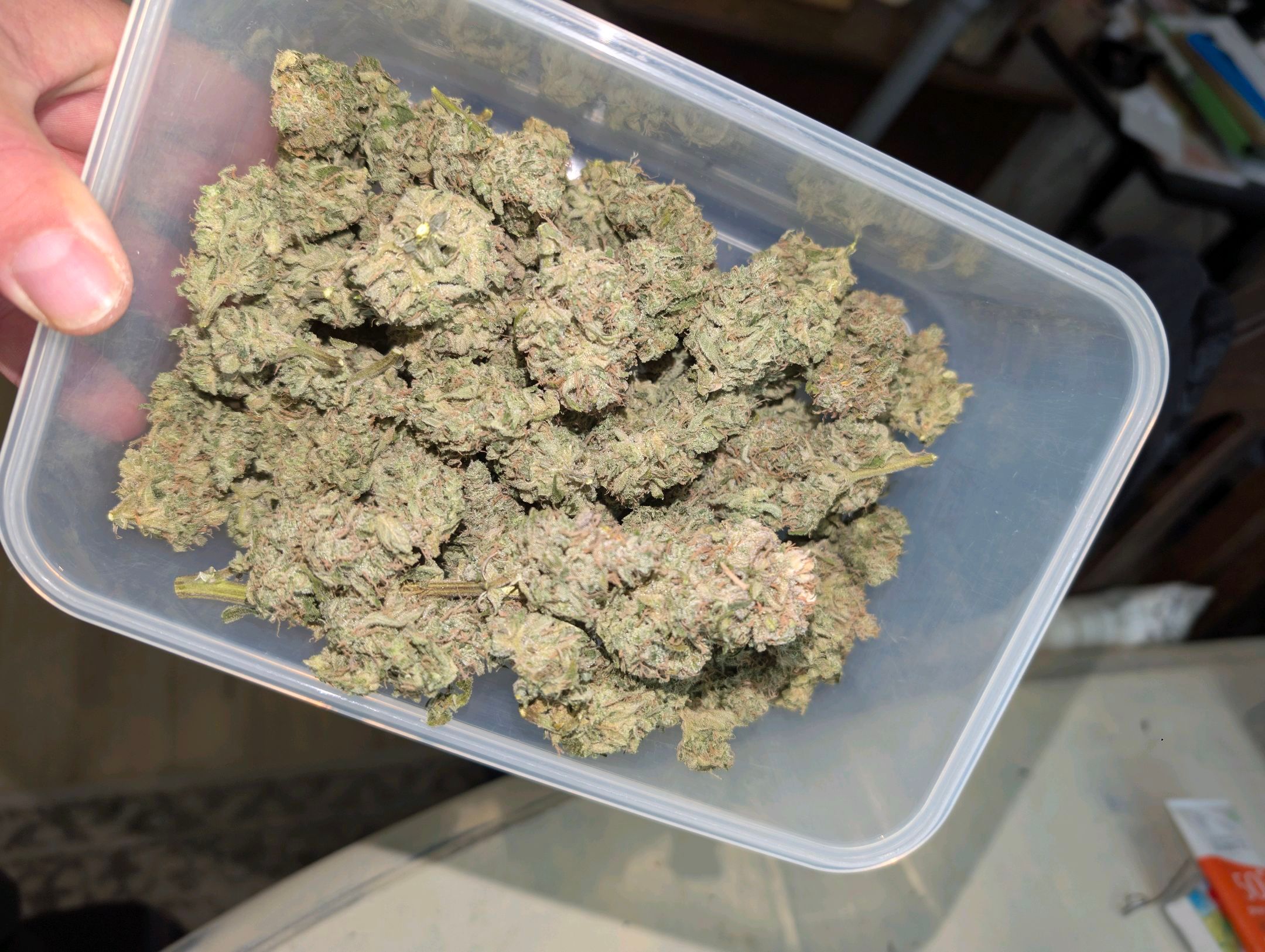 Gorilla Cookies Auto growlog photo 127