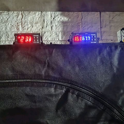 Nicol Punch #2 growlog timeline photo