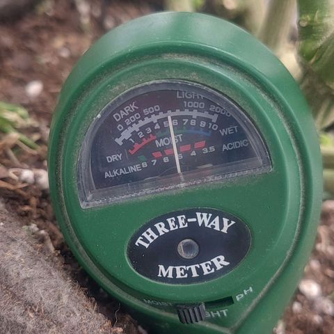 Nicol Punch #1 growlog timeline photo