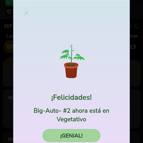 Big-Auto- #2 growlog timeline photo