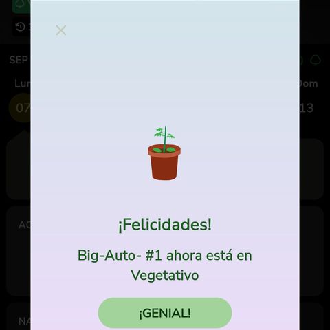 Foto de la cronología del growlog de Big-Auto- #1